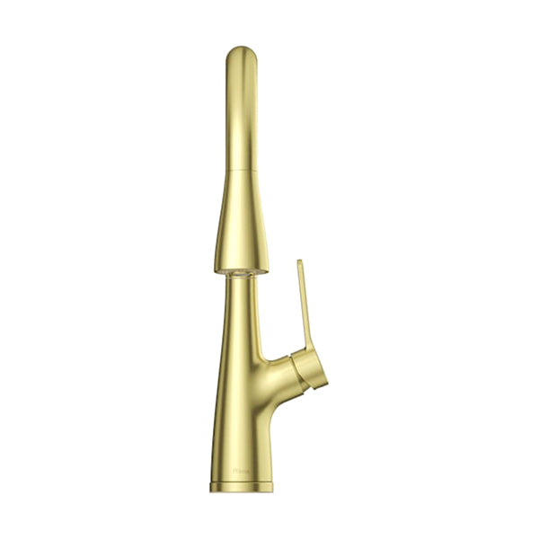 Pfister LG529-NEBG: 75273_2.jpg