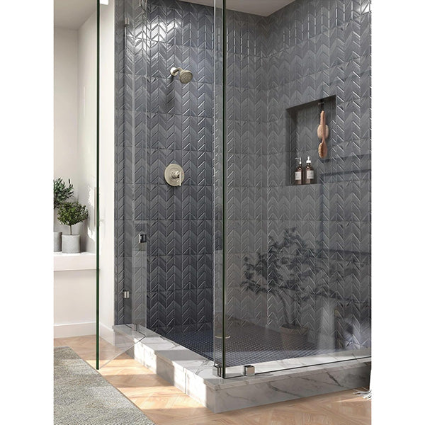 Moen T2902EPBN