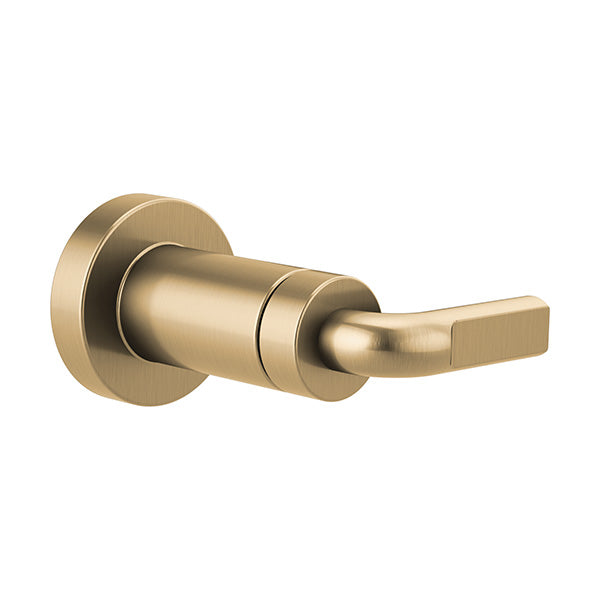 Brizo T66639-GL: 289463_1.jpg (Variant Image)