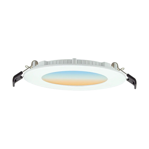 American Lighting BRD4-5CCT-RD