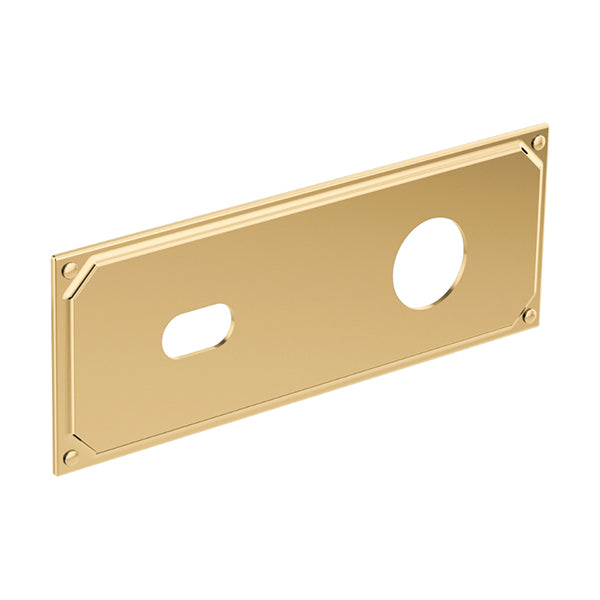 Brizo RP100323PG