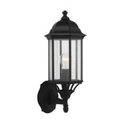 Generation Lighting 8838701-12
