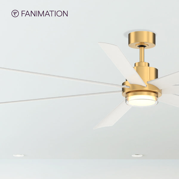 Fanimation FPD6872BSMW