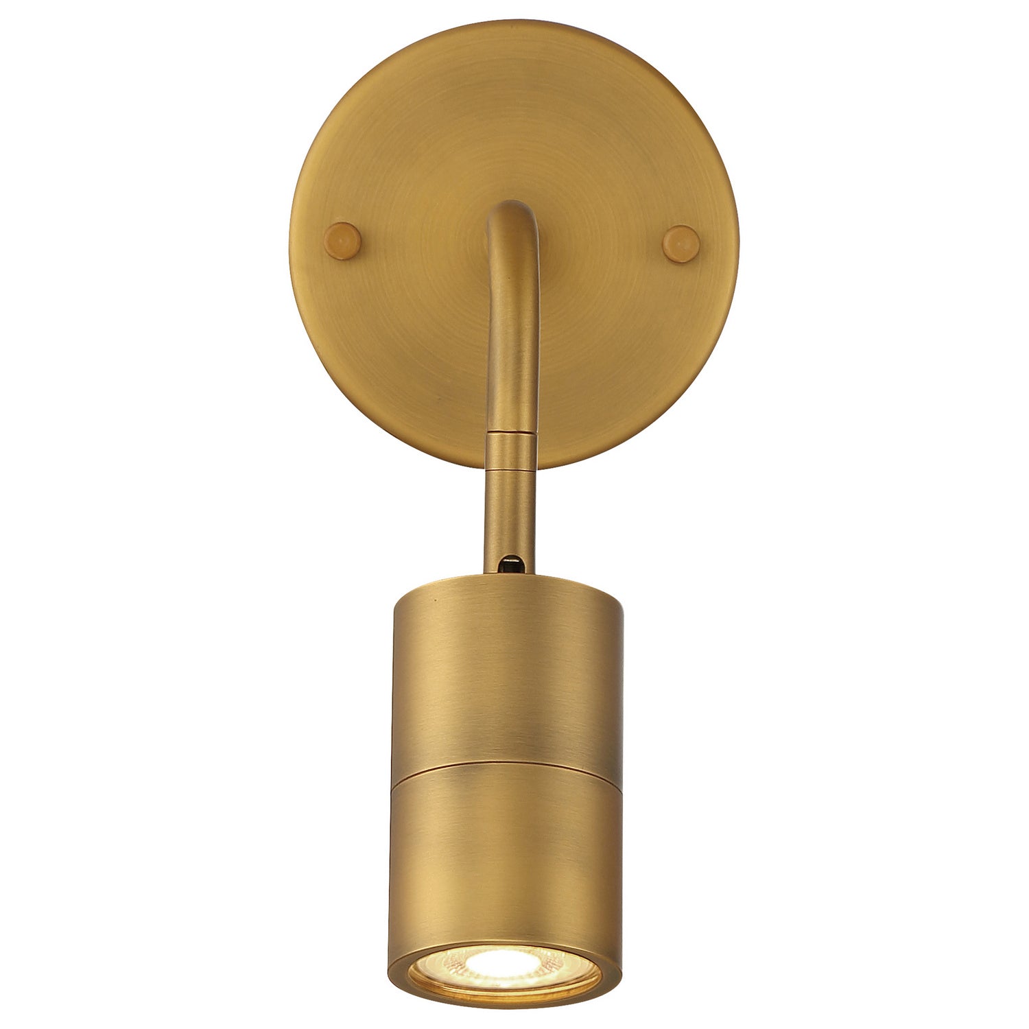 Cafe Dual Mount 2-1/2 in 1-Light LED Wall or Ceiling Spotlight