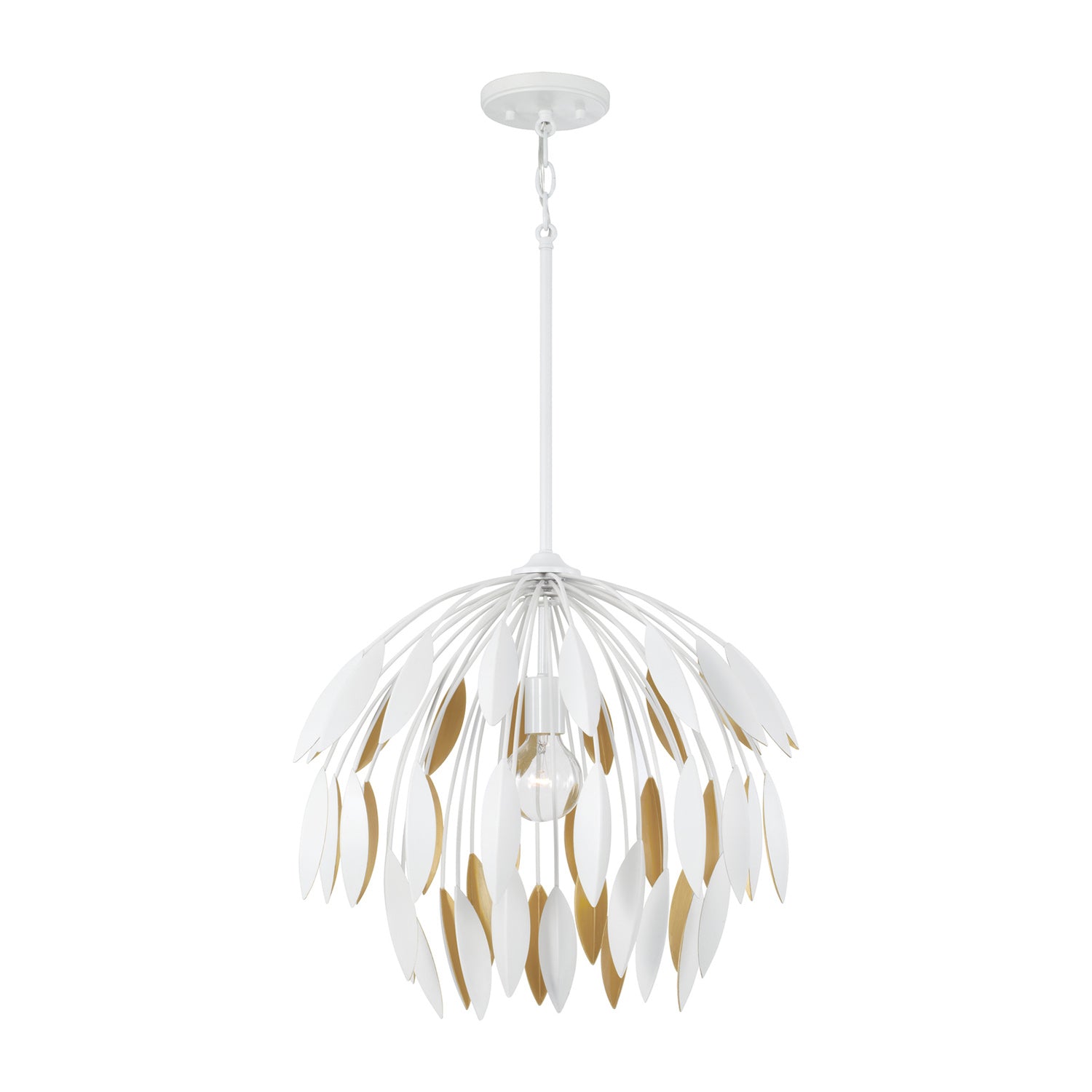 Capital Lighting 351812GF
