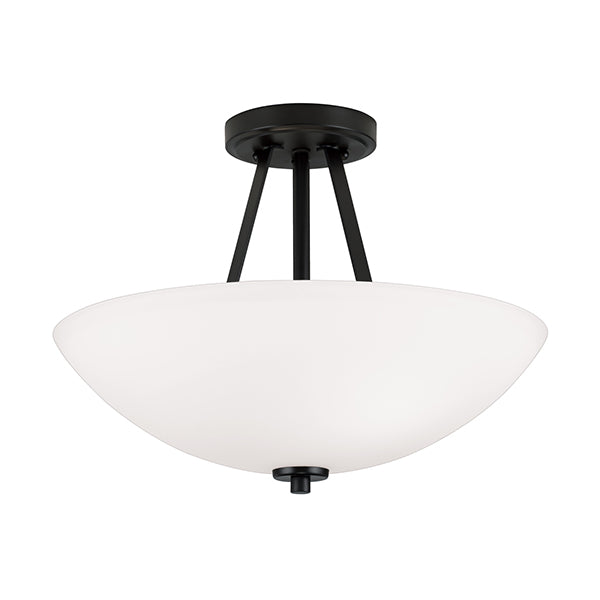 Capital Lighting 218921BN