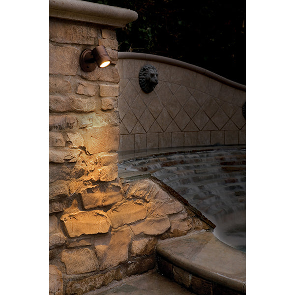 Access Lighting 23025MG-BRZ/CLR