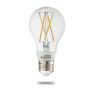 Bulbrite 290110: 983915.jpg
