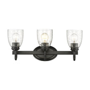 Golden Lighting 8001-BA3 BLK-SD