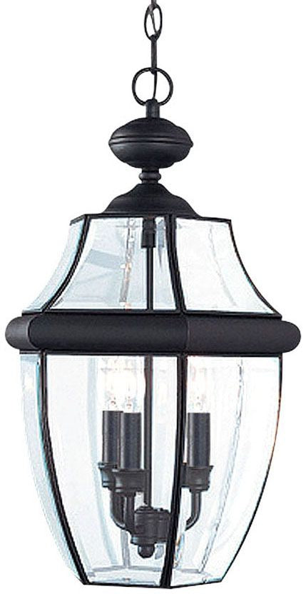 Generation Lighting 6039EN-12: GenerationLighting_6039EN12