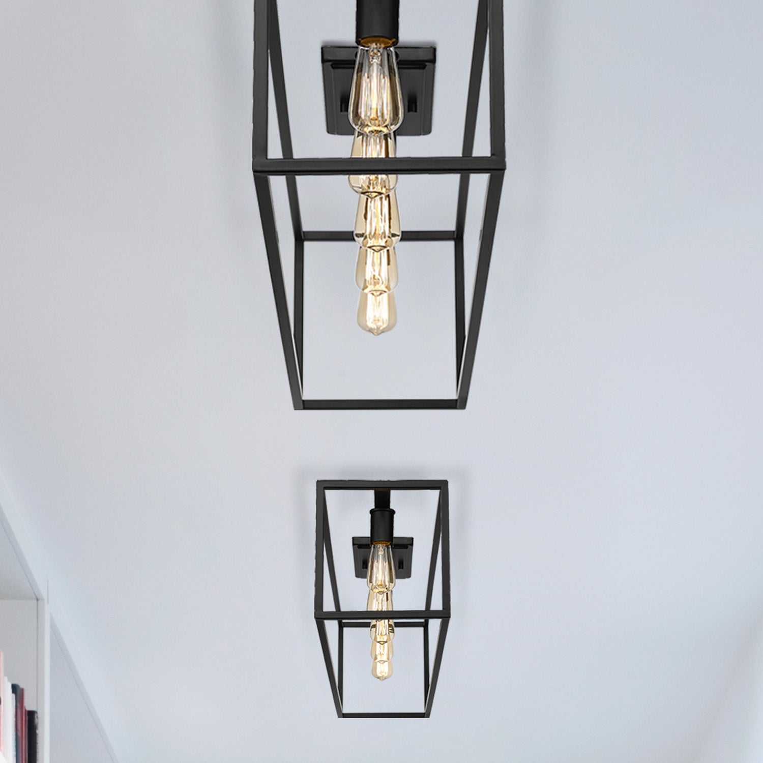 Golden 2072-FM41 BLK