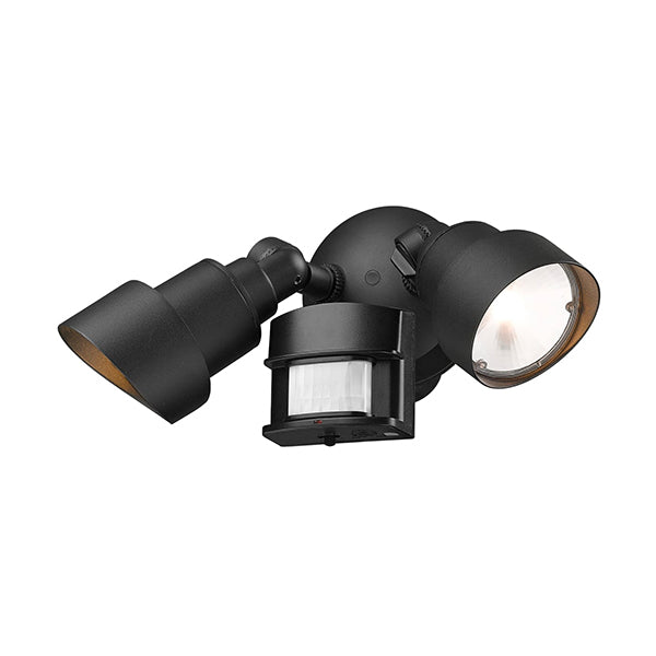 Acclaim Lighting LFL2ABZM