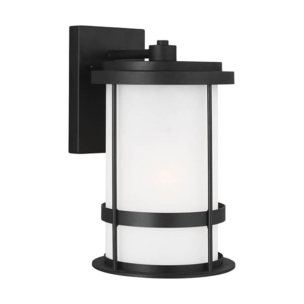 Generation Lighting 8690901EN3-71