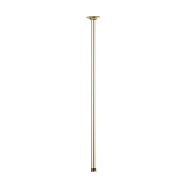 Brizo 83992-24-PN