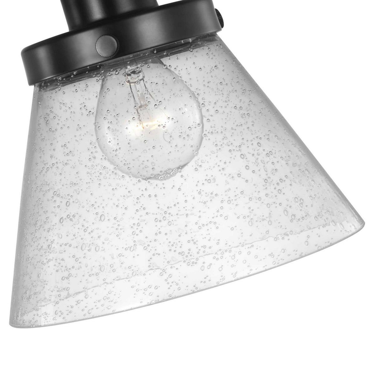 Hinton 12 in Swing Arm Wall Light with Clear Seedy Glass Shade