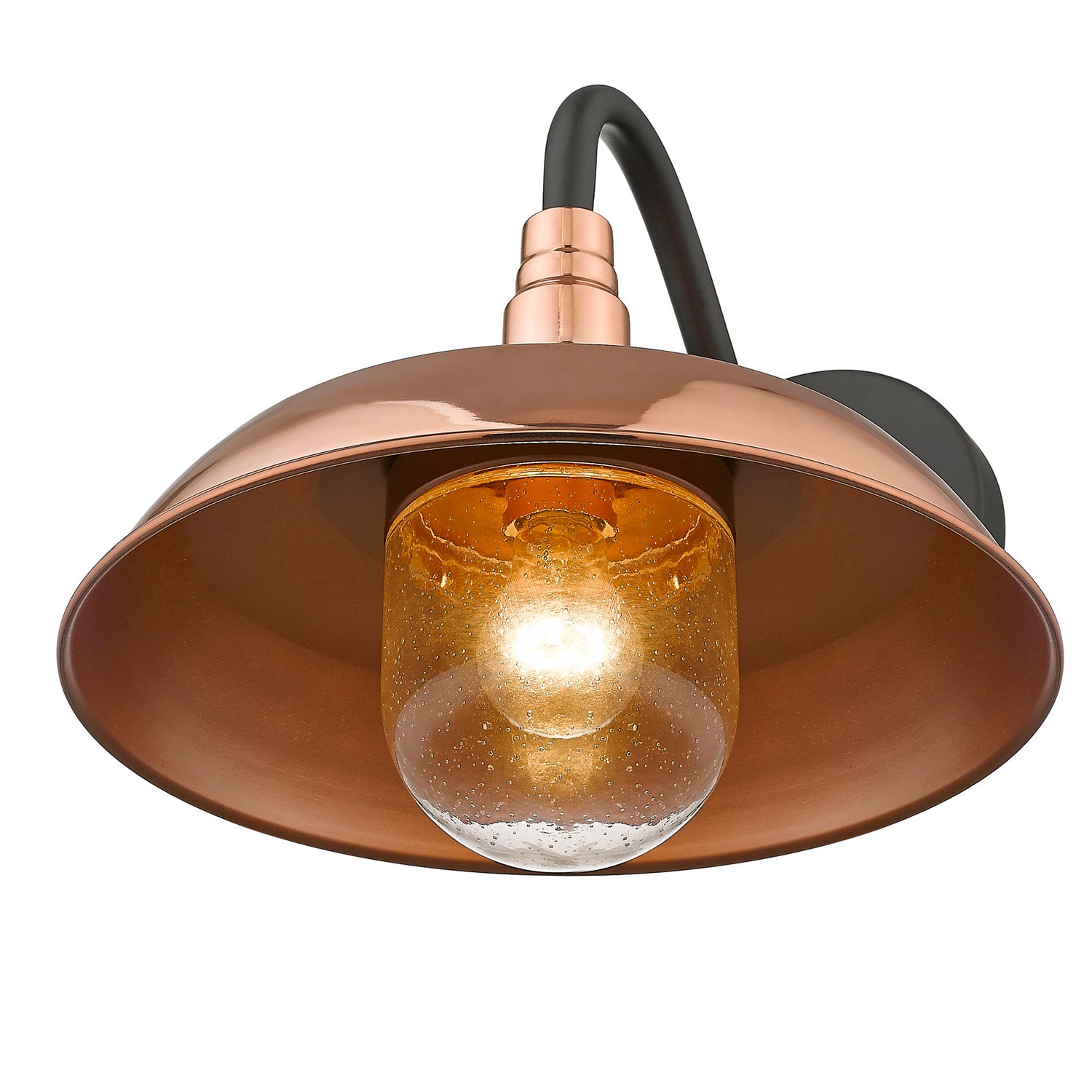 Burry 1-Light Outdoor Wall Lantern