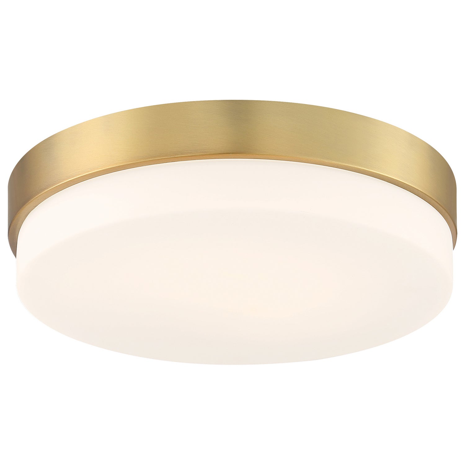 Access Lighting 20825LEDD-ABB/OPL: lad-4730251-4.jpg