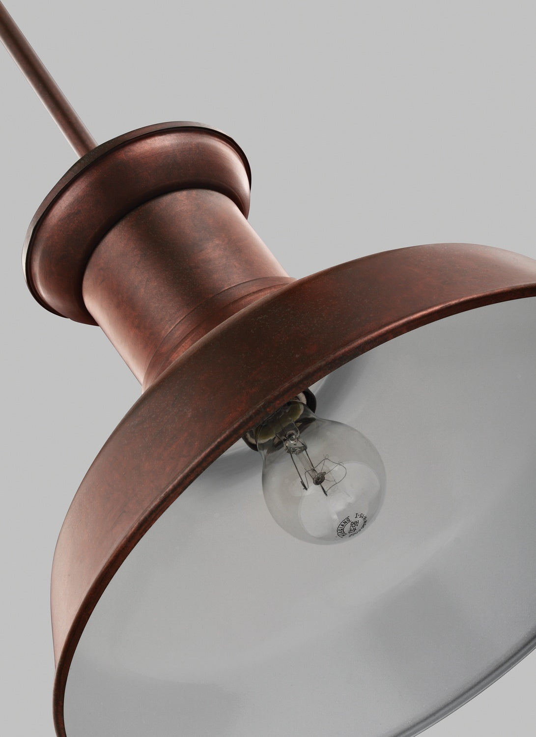Fredricksburg 1-Light Outdoor Hanging Lantern with Metal Shade, Satin Aluminum