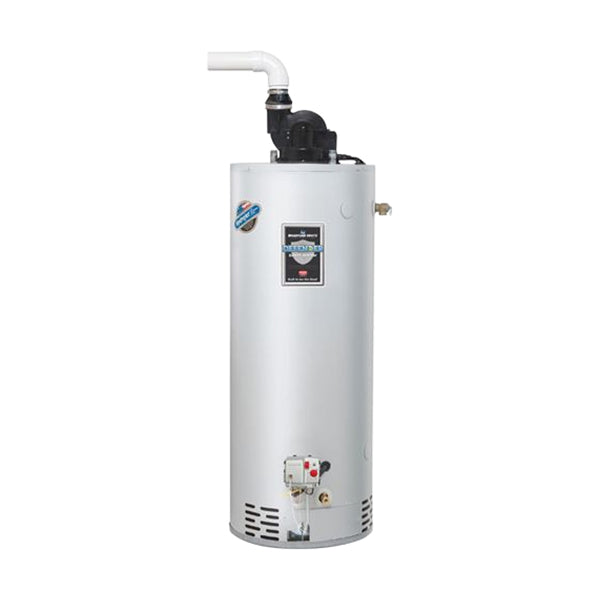 Bradford White RG2PV50T6N19