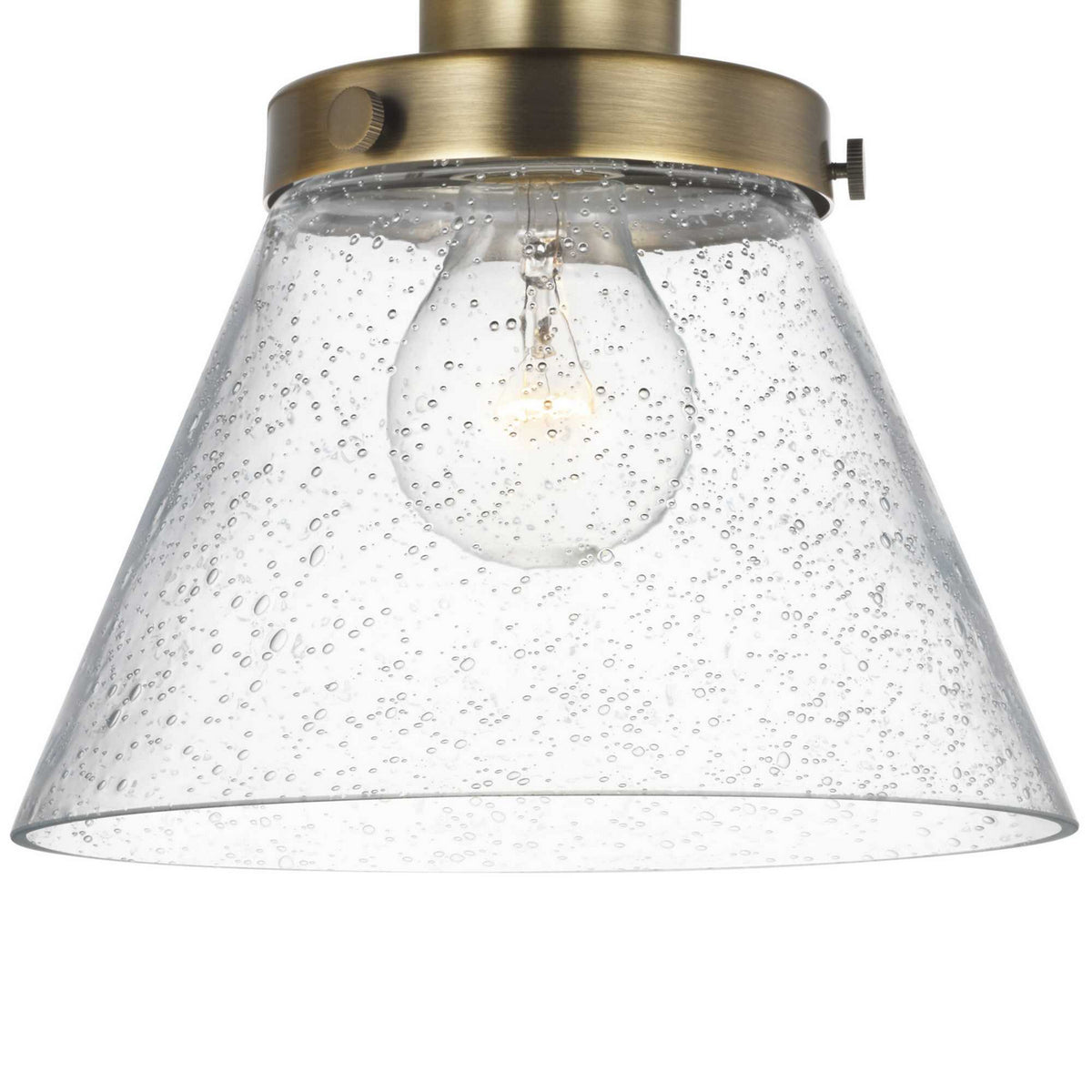 Hinton 12 in Swing Arm Wall Light with Clear Seedy Glass Shade