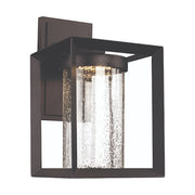 Trans Globe Lighting LED-50162BK