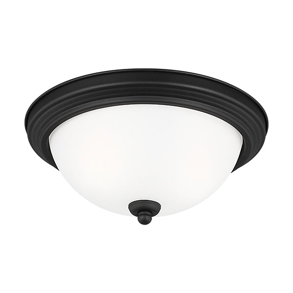 Generation Lighting 77064-05