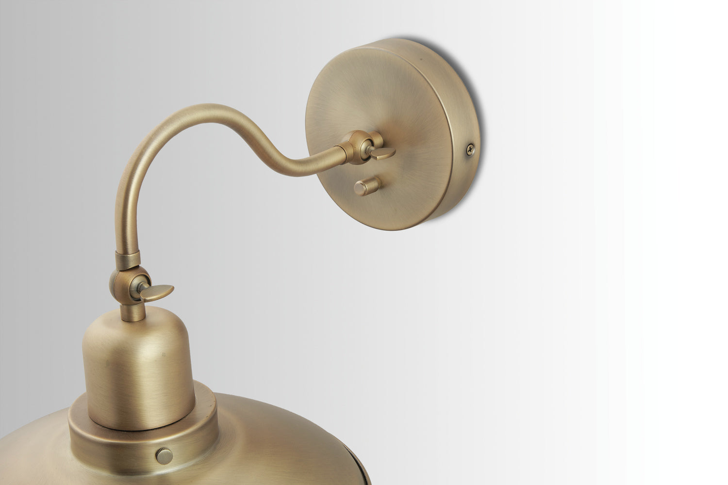 Dewitt 1-Light Outdoor Wall Sconce with Metal Shade