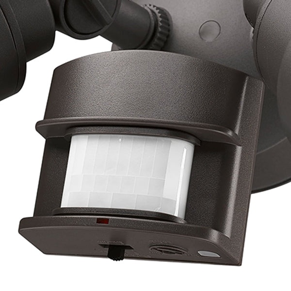 Acclaim Lighting LFL2ABZM
