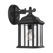 Generation Lighting 84029-12