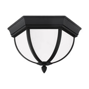 Generation Lighting 79136-12