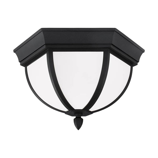 Generation Lighting 79136-12
