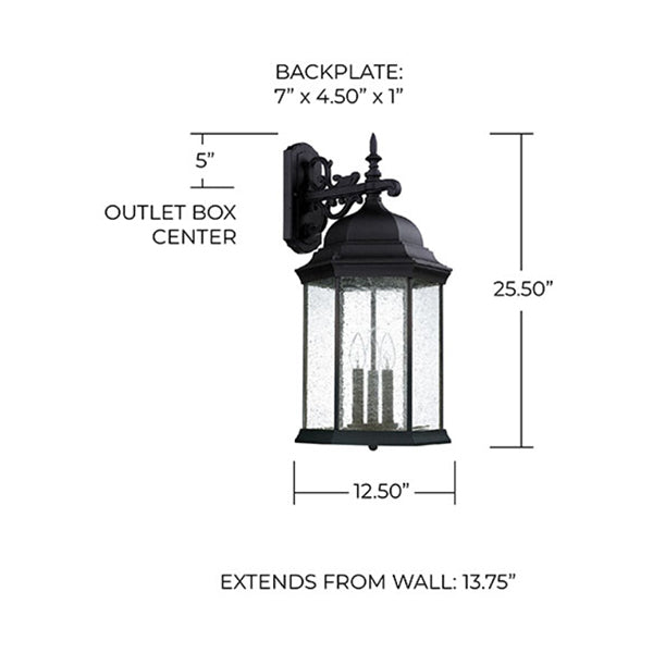Capital Lighting 9838BK