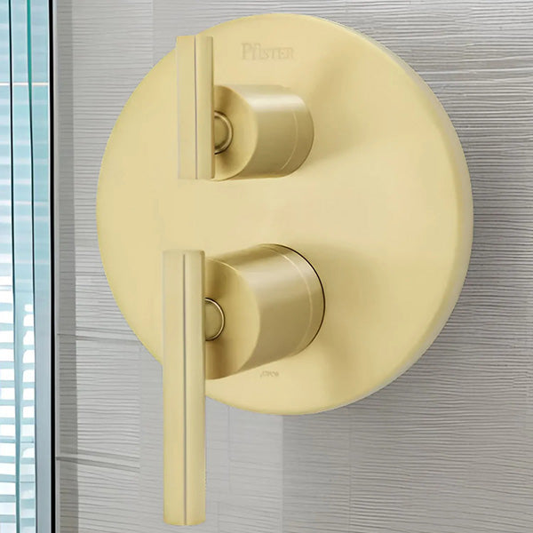 Pfister R89-SNCBG: 223480_3.jpg