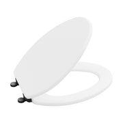 Kallista P70303-BL-0