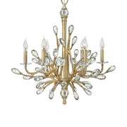 Fredrick Ramond FR35601BRG