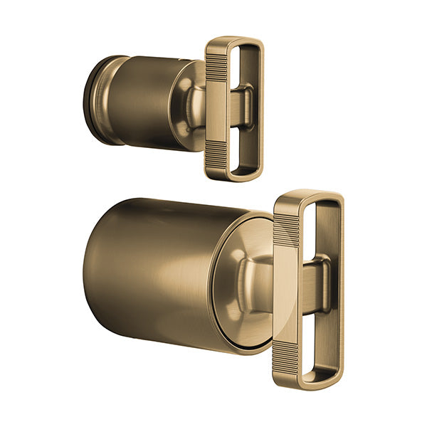 Brizo HK75P06-GL: 167688_1.jpg (Variant Image)