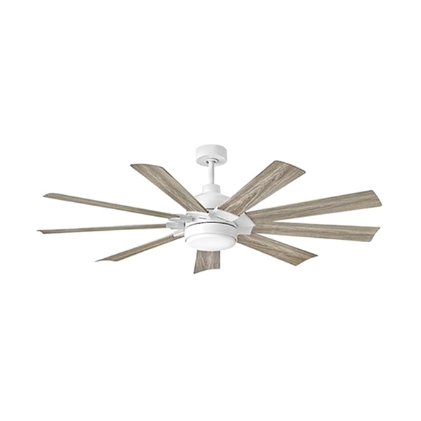 Hinkley 904260FCW-LWD