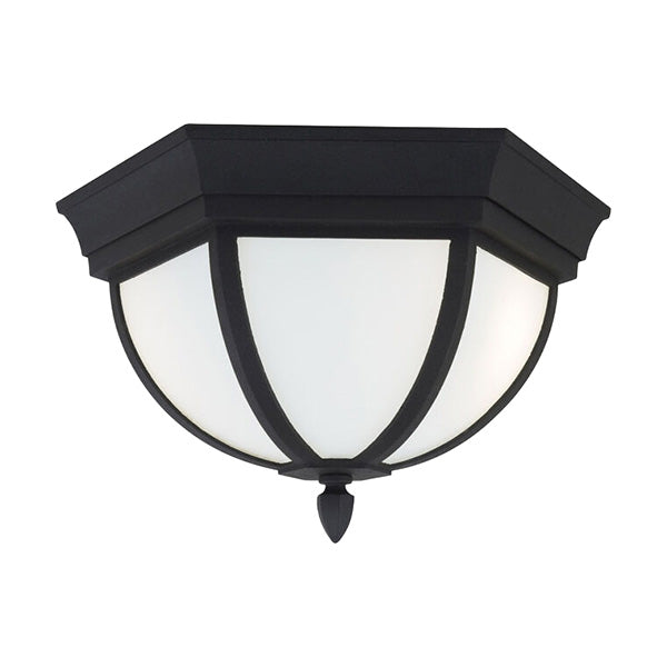 Generation Lighting 79136-12