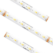 American Lighting SPTL-RGBTW-CC