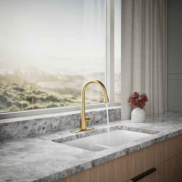 Kohler 22036-BL