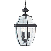 Generation Lighting 6039EN-12