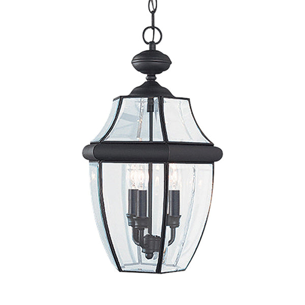 Generation Lighting 6039EN-12