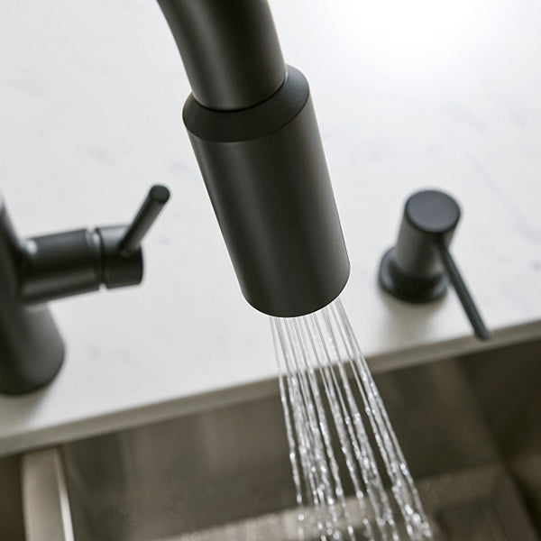 Moen 173816BL