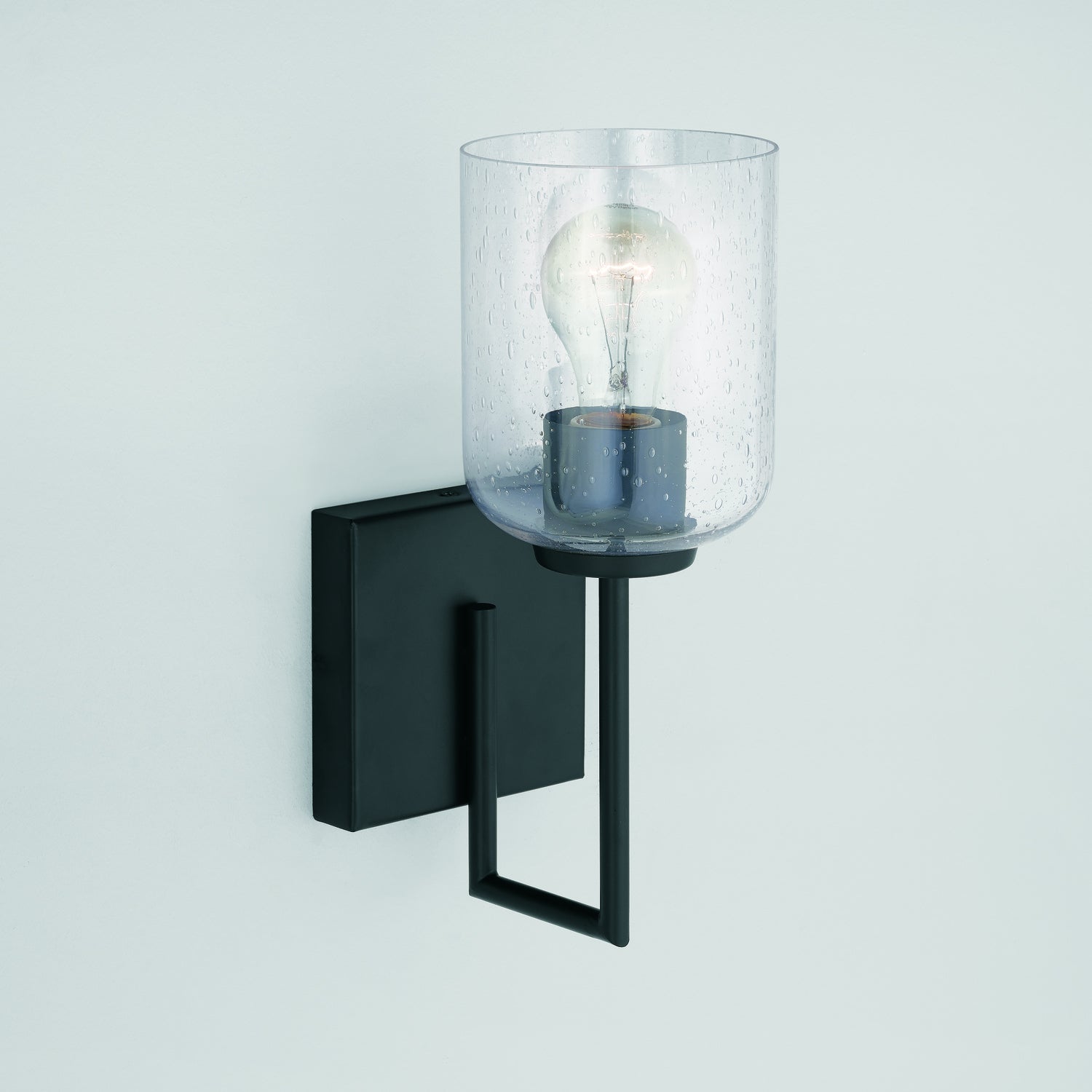 Carter 1-Light Wall Sconce with Clear Seedy Glass Shade