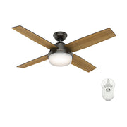 Hunter 59446: 49202_1.jpg (Variant Image)