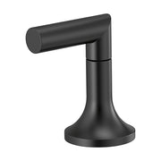 Brizo HL675-BL: 128850_1.jpg (Variant Image)