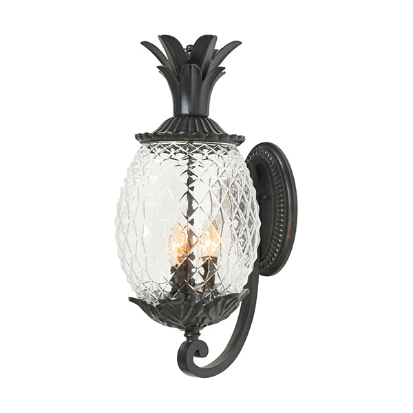 Acclaim Lighting 7511BK