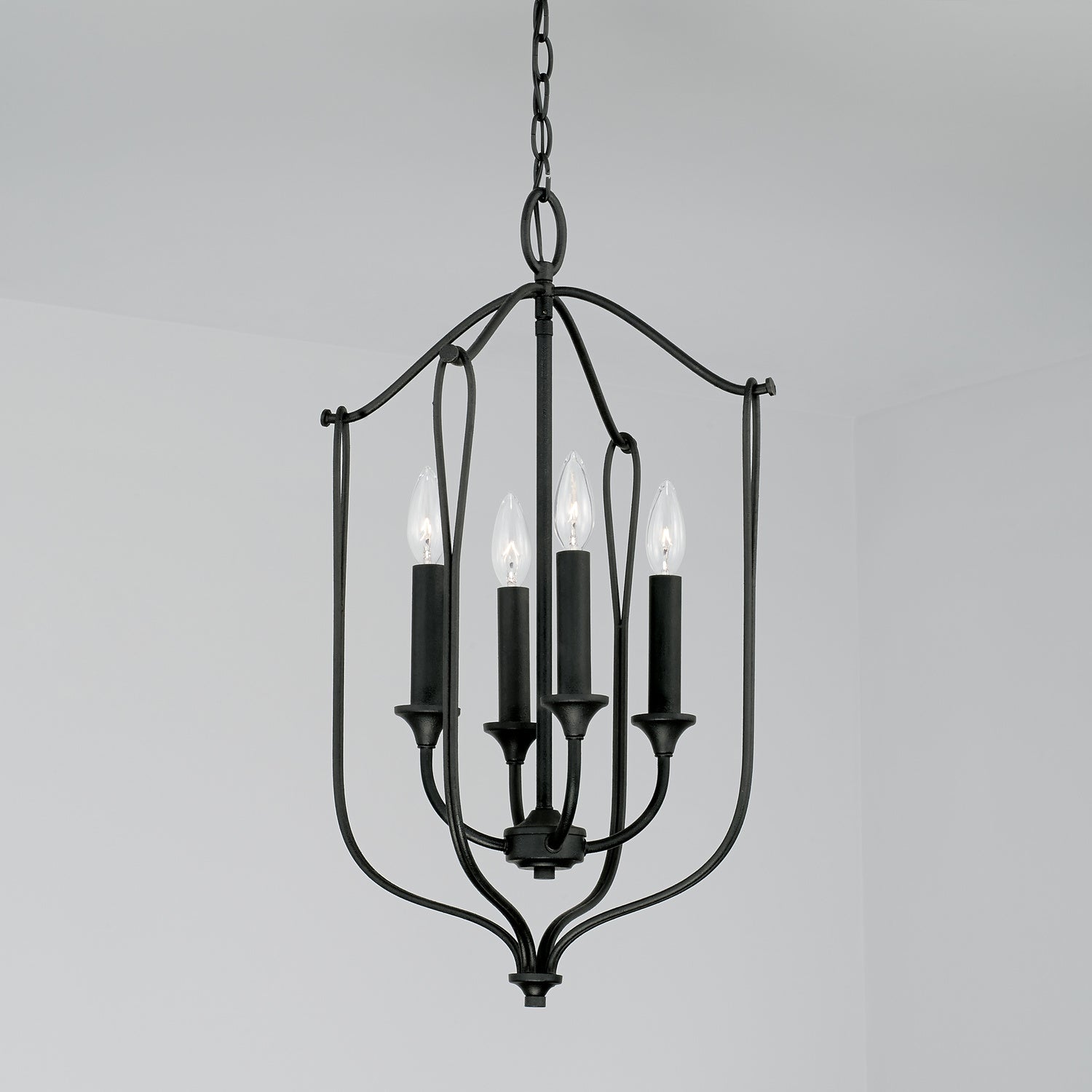 Capital Lighting 541641BI: lad-4547674-2.jpg