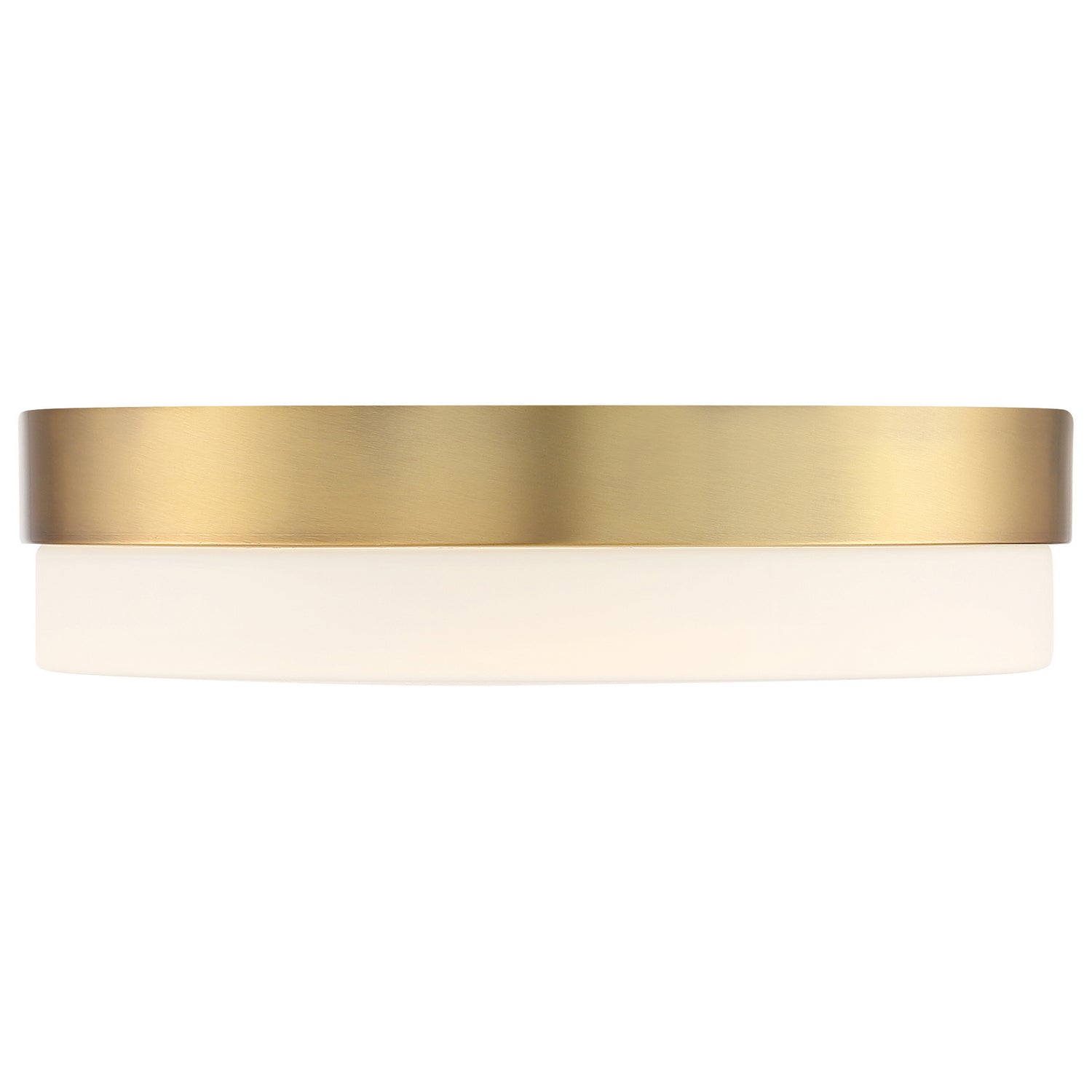 Access Lighting 20825LEDD-ABB/OPL: lad-4730251-3.jpg