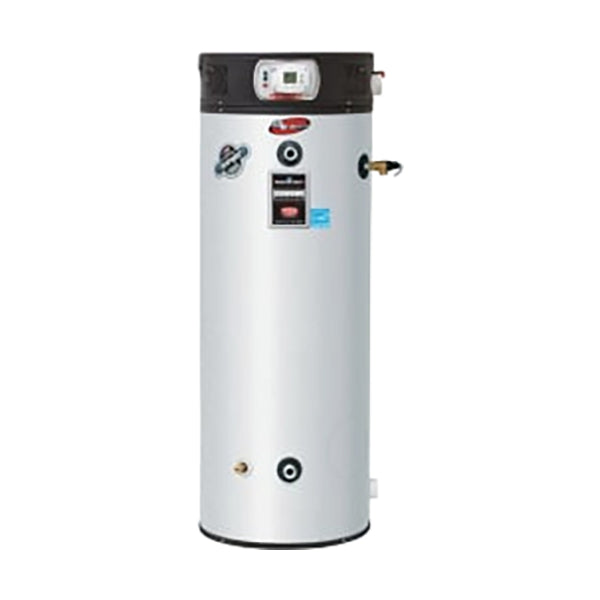 Bradford White EF100T250E3NA2